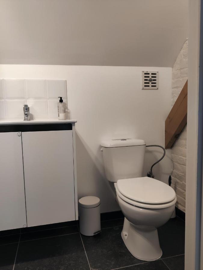De Lucarne Villa Zottegem Dış mekan fotoğraf